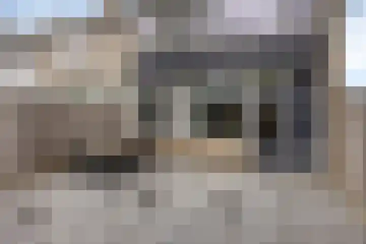 Grovestins 11 Almelo thumbnail 36
