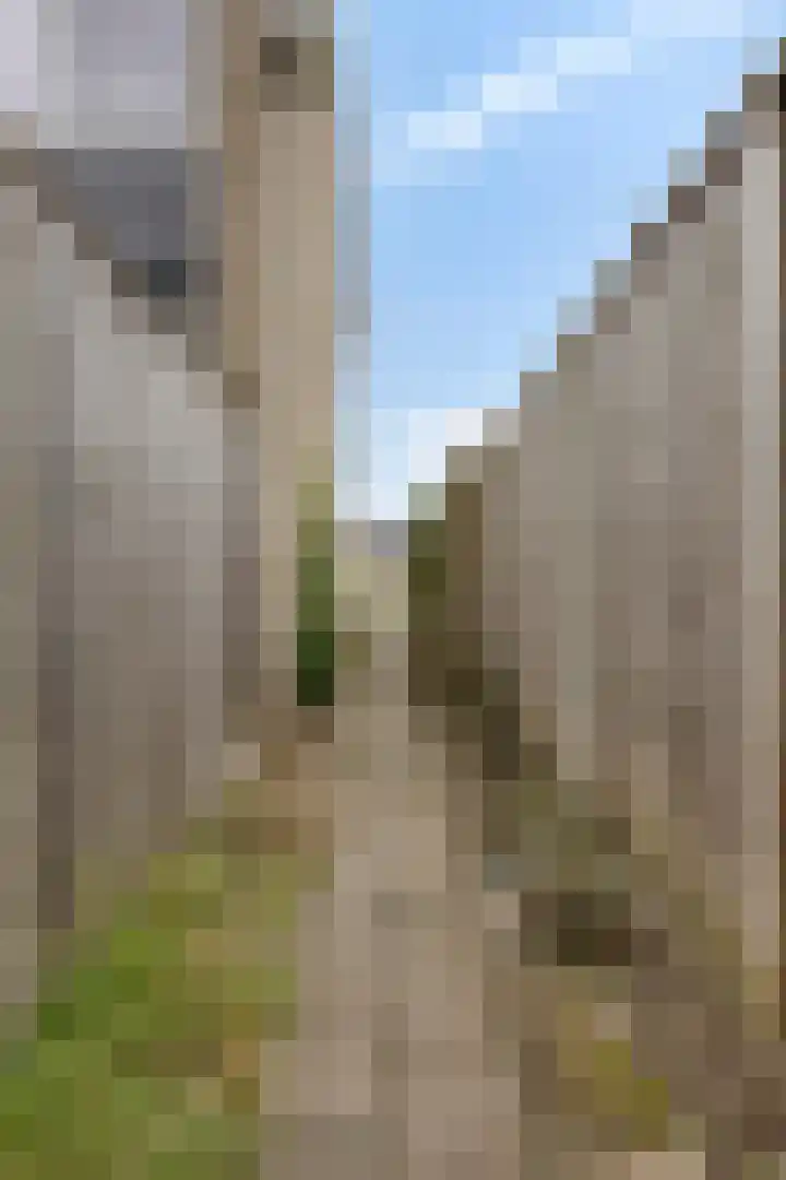 Grovestins 11 Almelo thumbnail 37