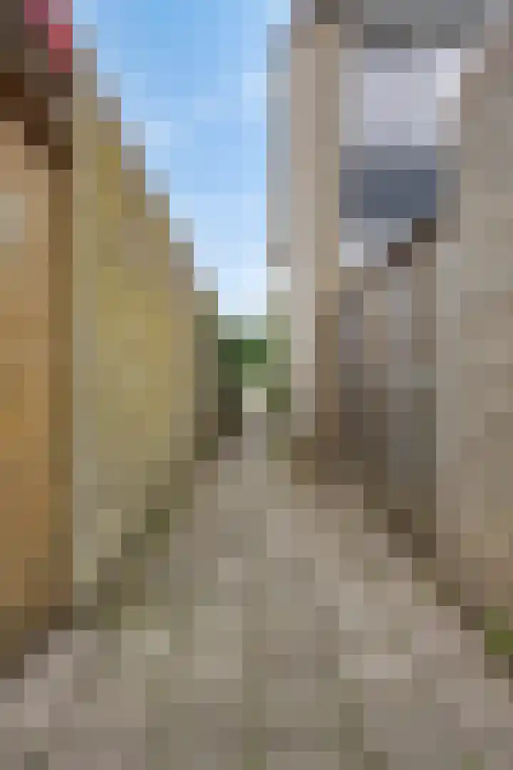 Grovestins 11 Almelo thumbnail 38