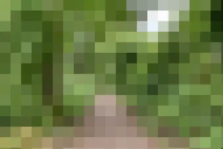 Grovestins 11 Almelo thumbnail 40