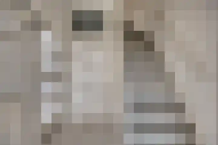 Grovestins 11 Almelo thumbnail 5