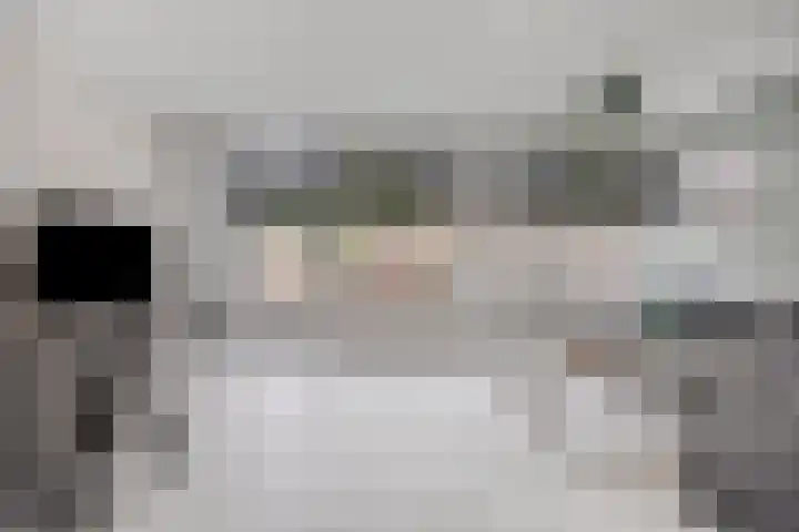 Grovestins 11 Almelo thumbnail 9