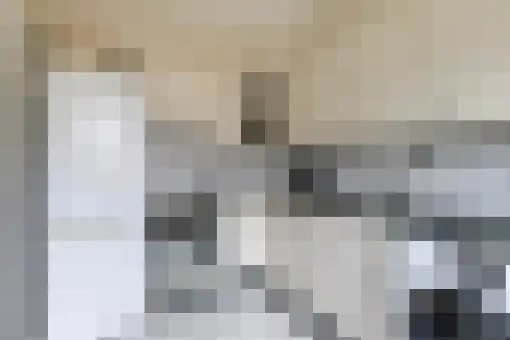 Grovestins 14 Stiens thumbnail 10