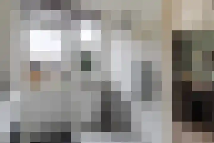 Grovestins 14 Stiens thumbnail 11
