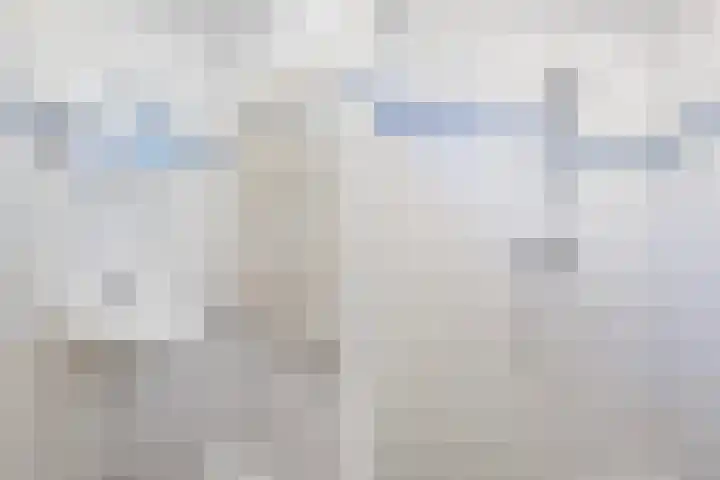 Grovestins 14 Stiens thumbnail 17