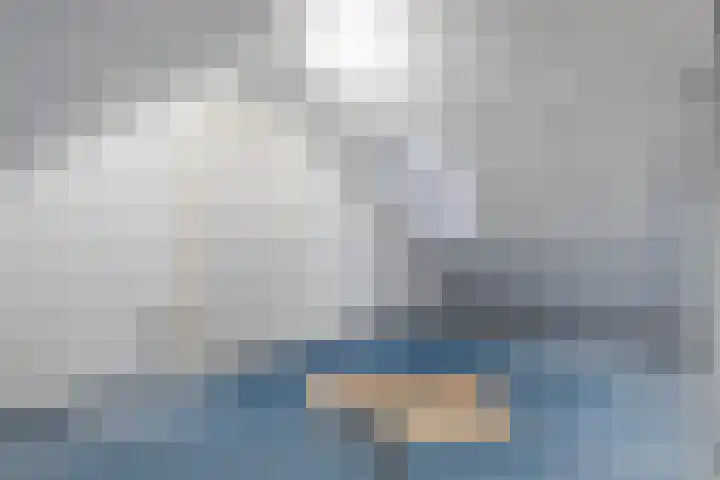 Grovestins 14 Stiens thumbnail 18