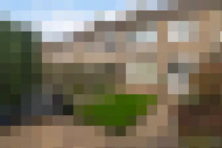 Grovestins 14 Stiens thumbnail 20
