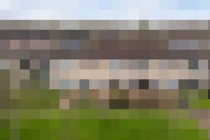 Grovestins 14 Stiens thumbnail 23