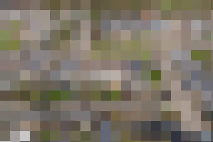 Grovestins 14 Stiens thumbnail 26