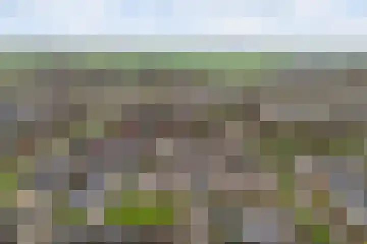 Grovestins 14 Stiens thumbnail 27