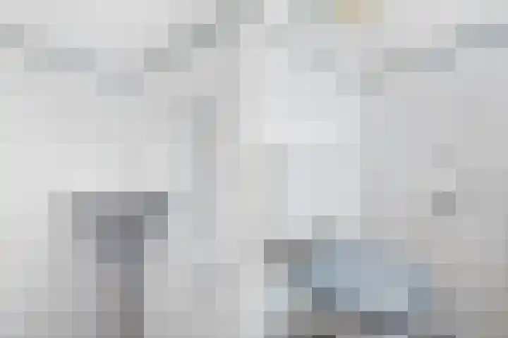 Grovestins 14 Stiens thumbnail 5