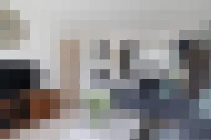 Grovestins 14 Stiens thumbnail 7