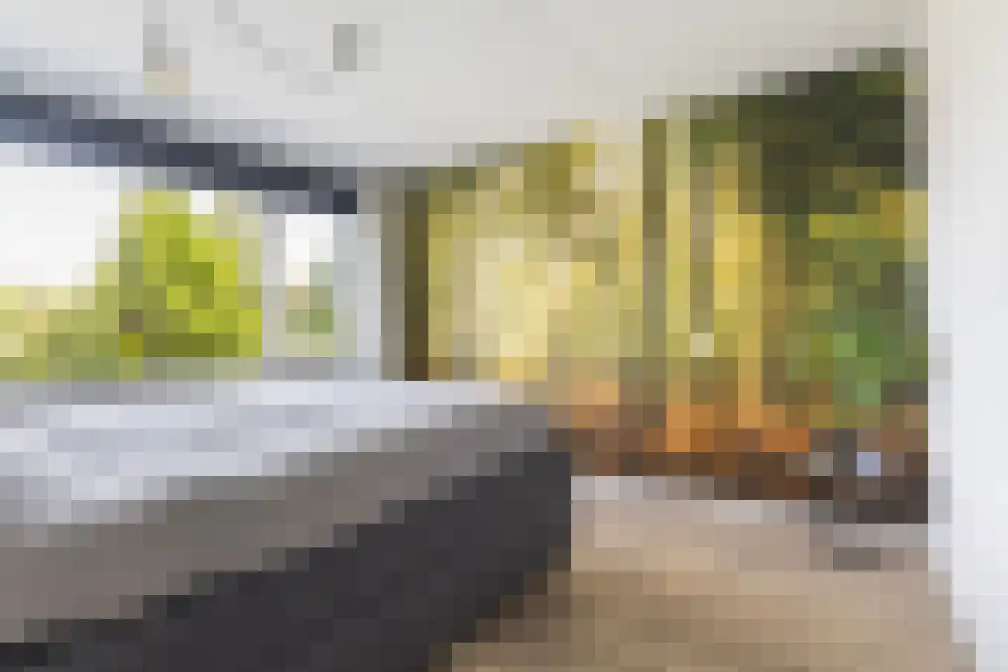 Grovestins 19 Stiens thumbnail 31