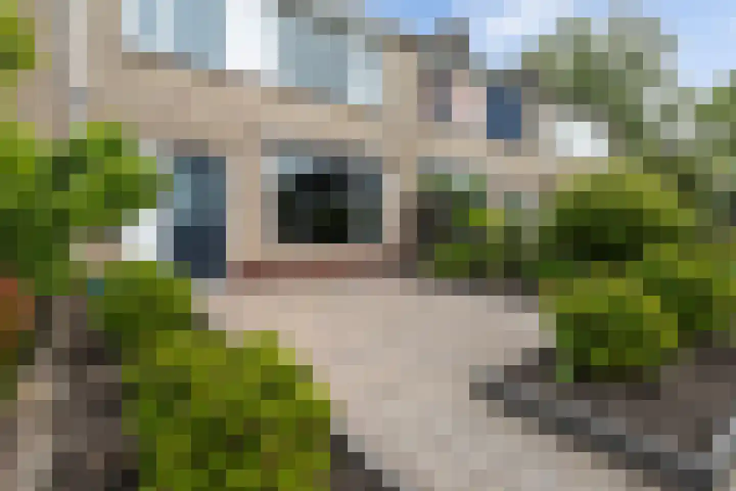 Grovestins 19 Stiens thumbnail 6