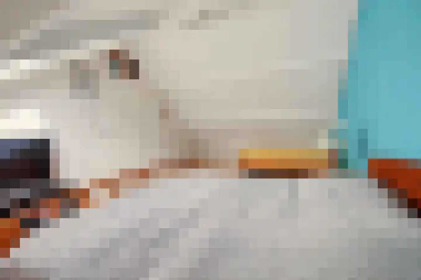 Grovestins 27 Almelo thumbnail 32