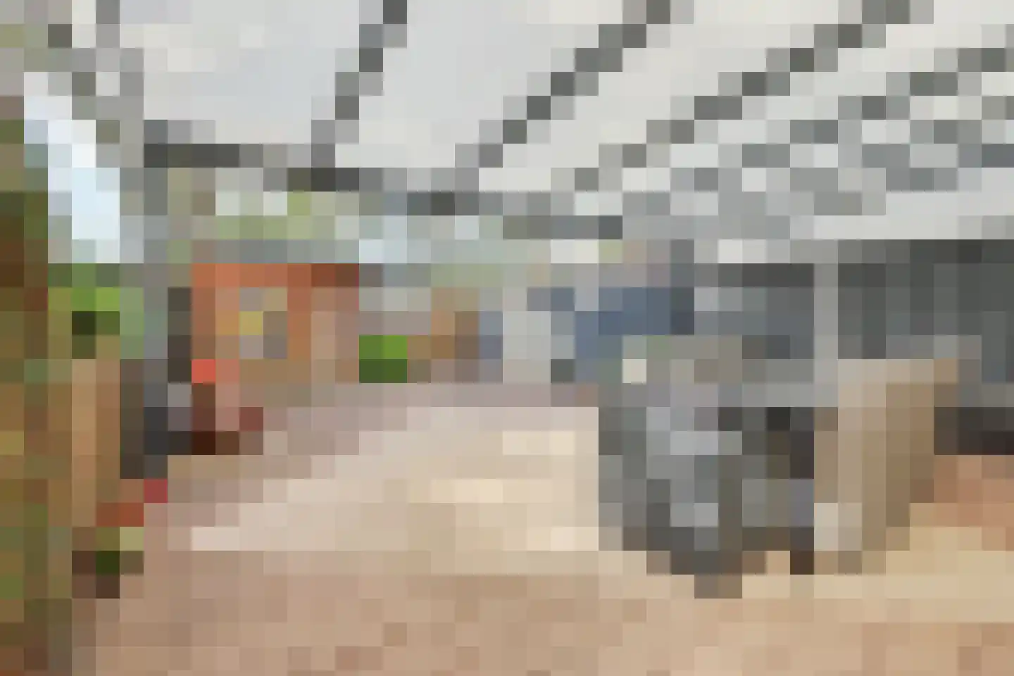 Grovestins 27 Almelo thumbnail 34