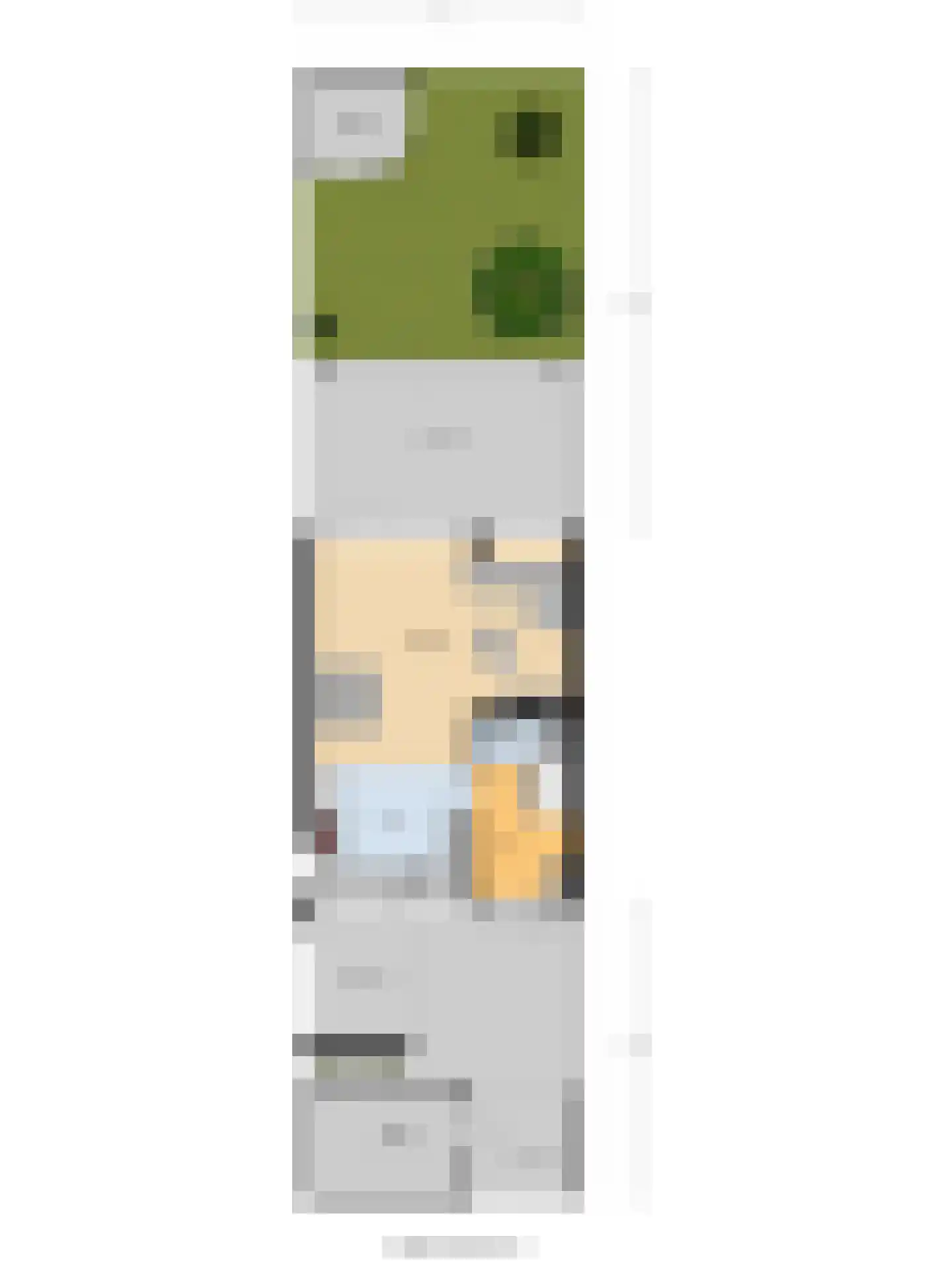 Grovestins 27 Almelo thumbnail 39