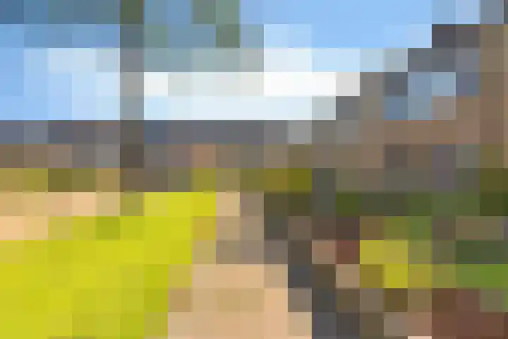 Grovestins 27 Stiens foto 3
