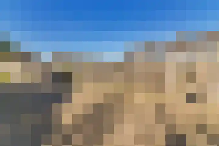 Grovestins 27 Stiens thumbnail 33