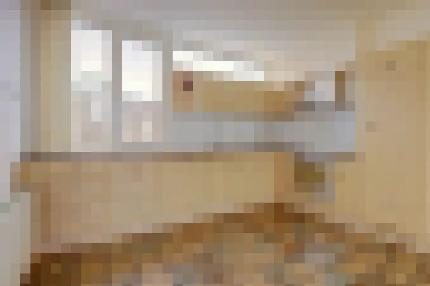 Grovestins 29 Almelo thumbnail 12