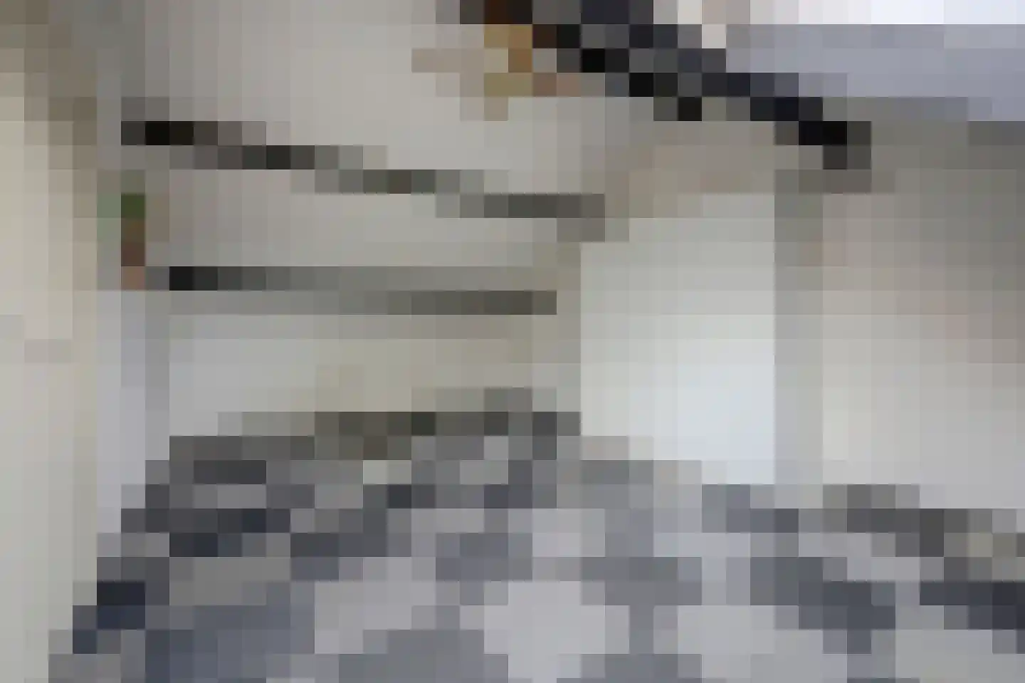 Grovestins 29 Almelo thumbnail 25