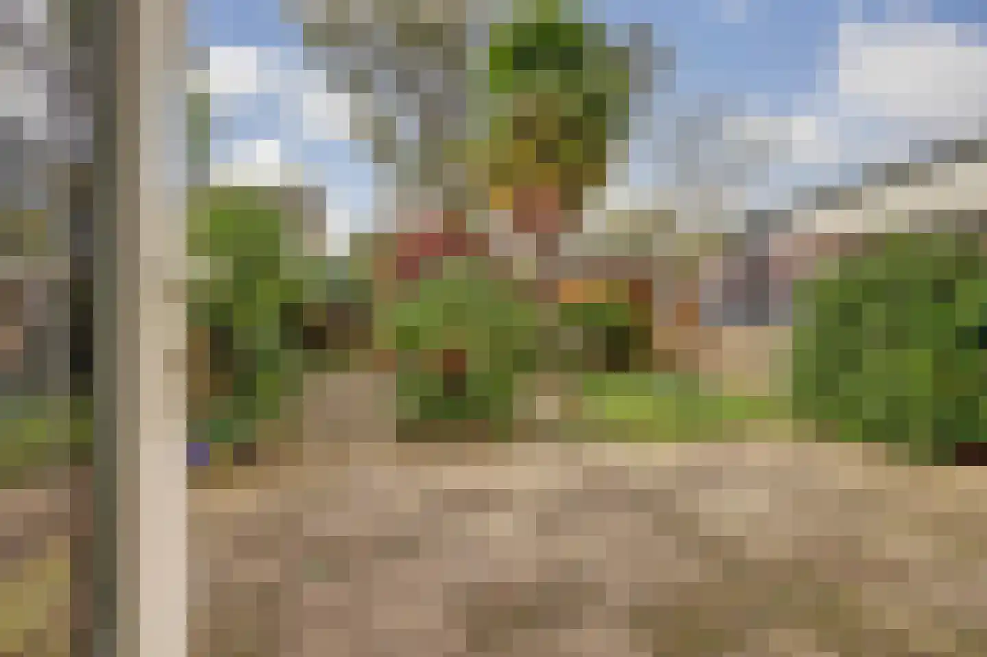 Grovestins 29 Almelo thumbnail 28