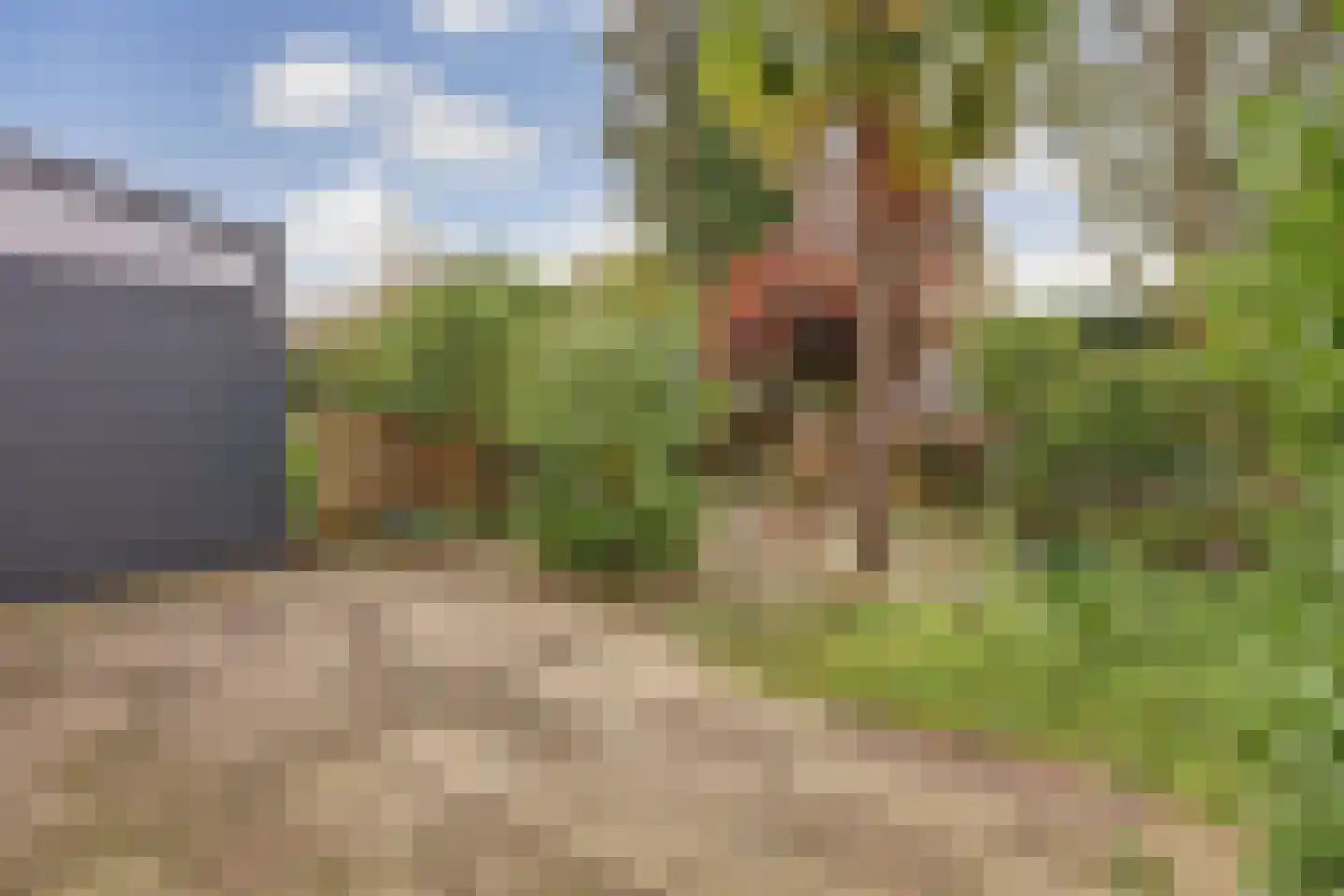 Grovestins 29 Almelo thumbnail 29