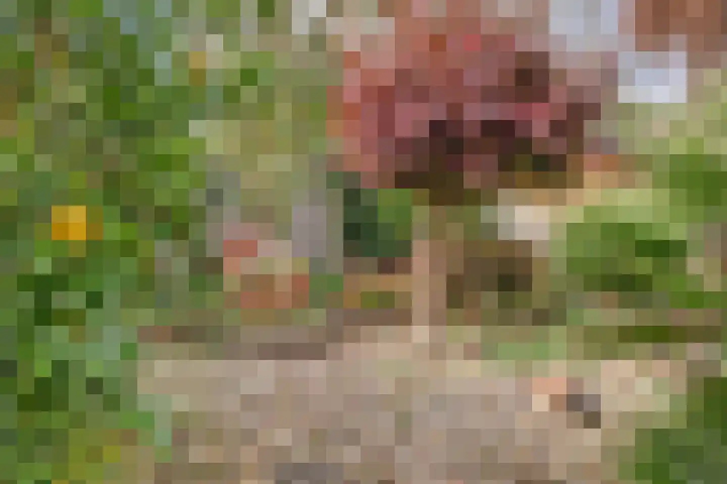 Grovestins 29 Almelo thumbnail 30