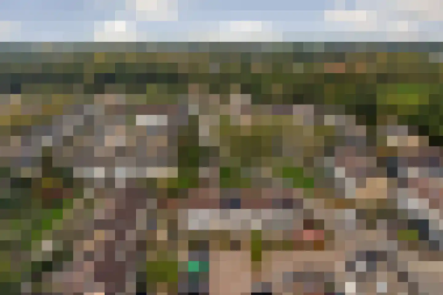 Grovestins 29 Almelo thumbnail 34