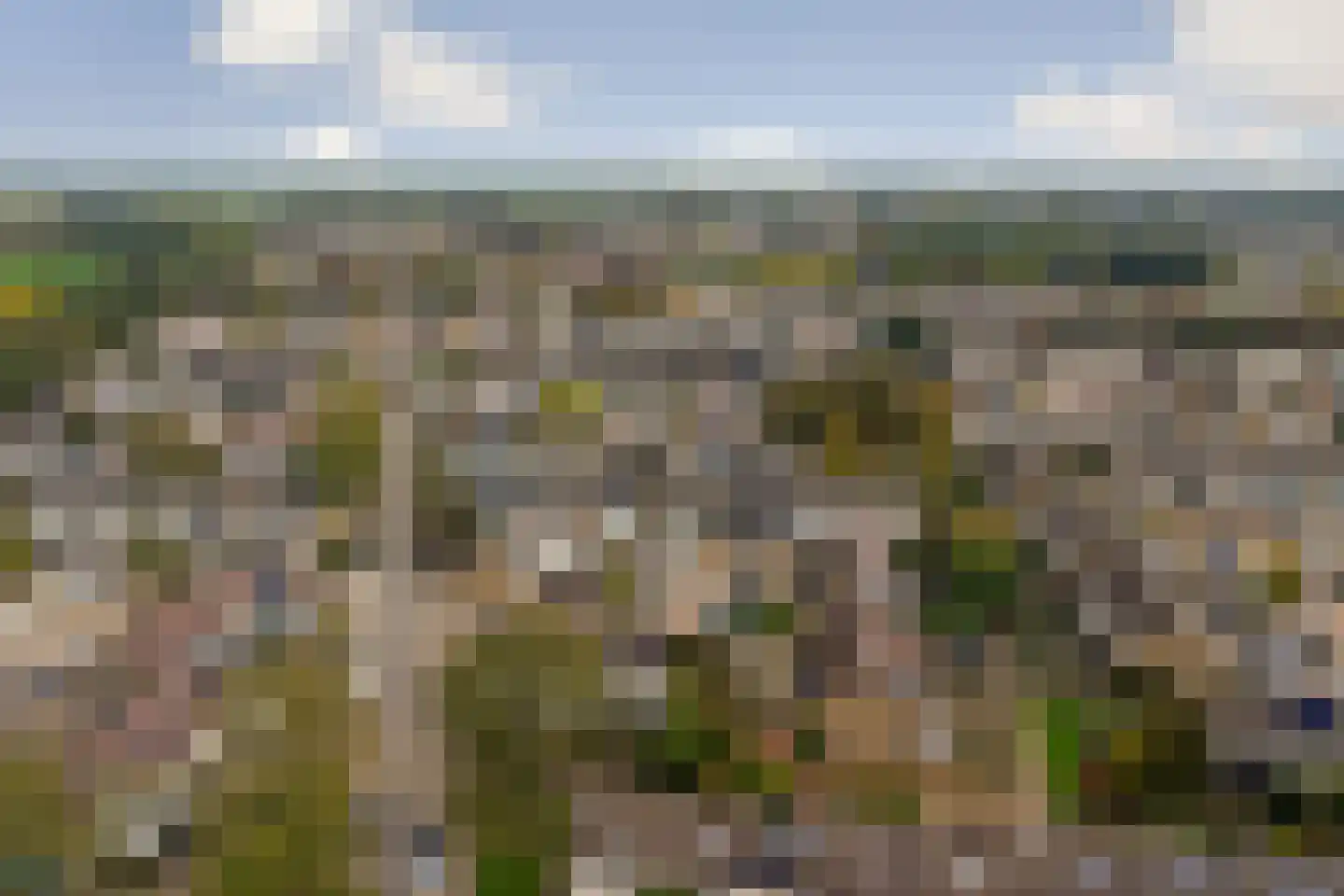 Grovestins 29 Almelo thumbnail 35