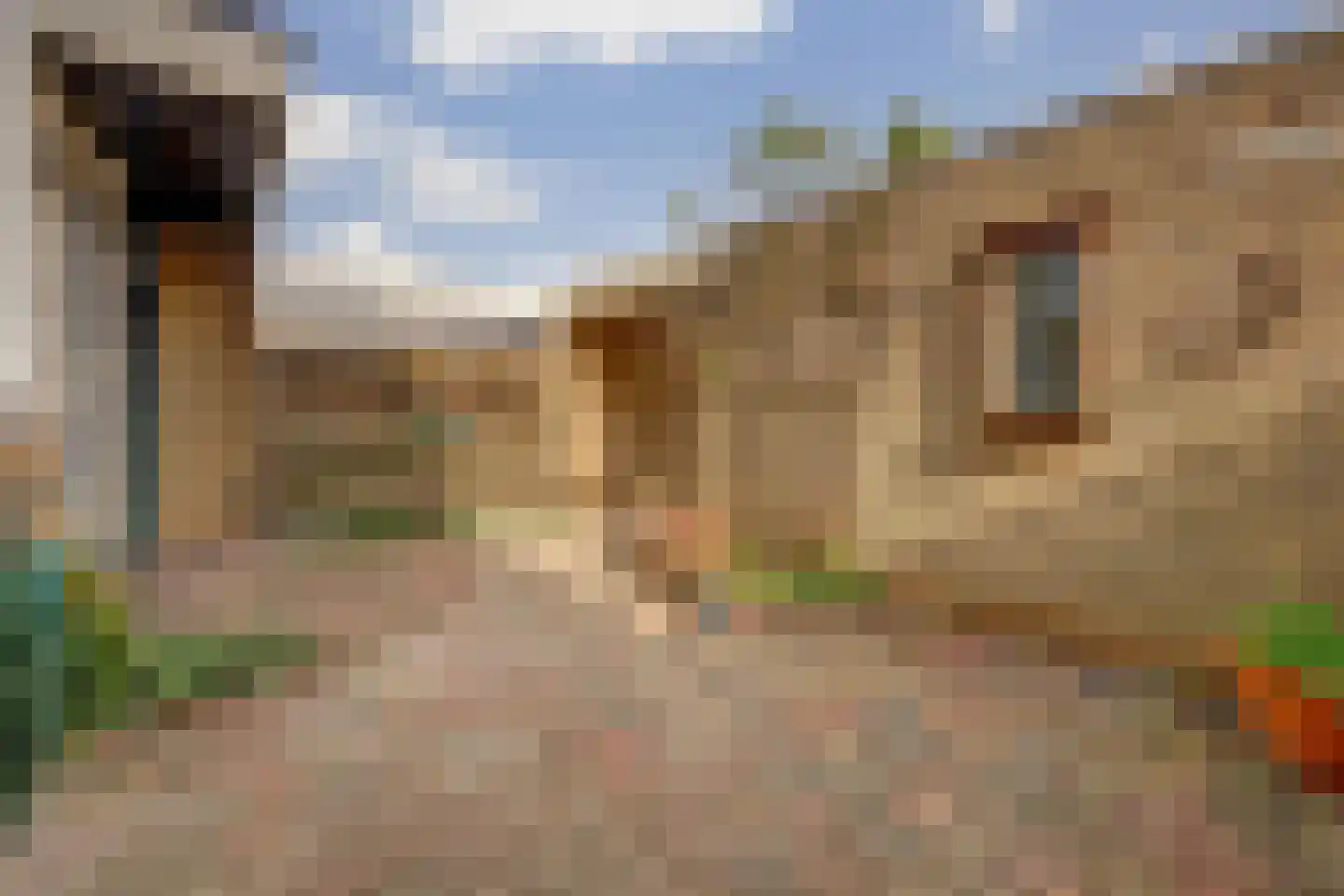 Grovestins 29 Almelo thumbnail 6