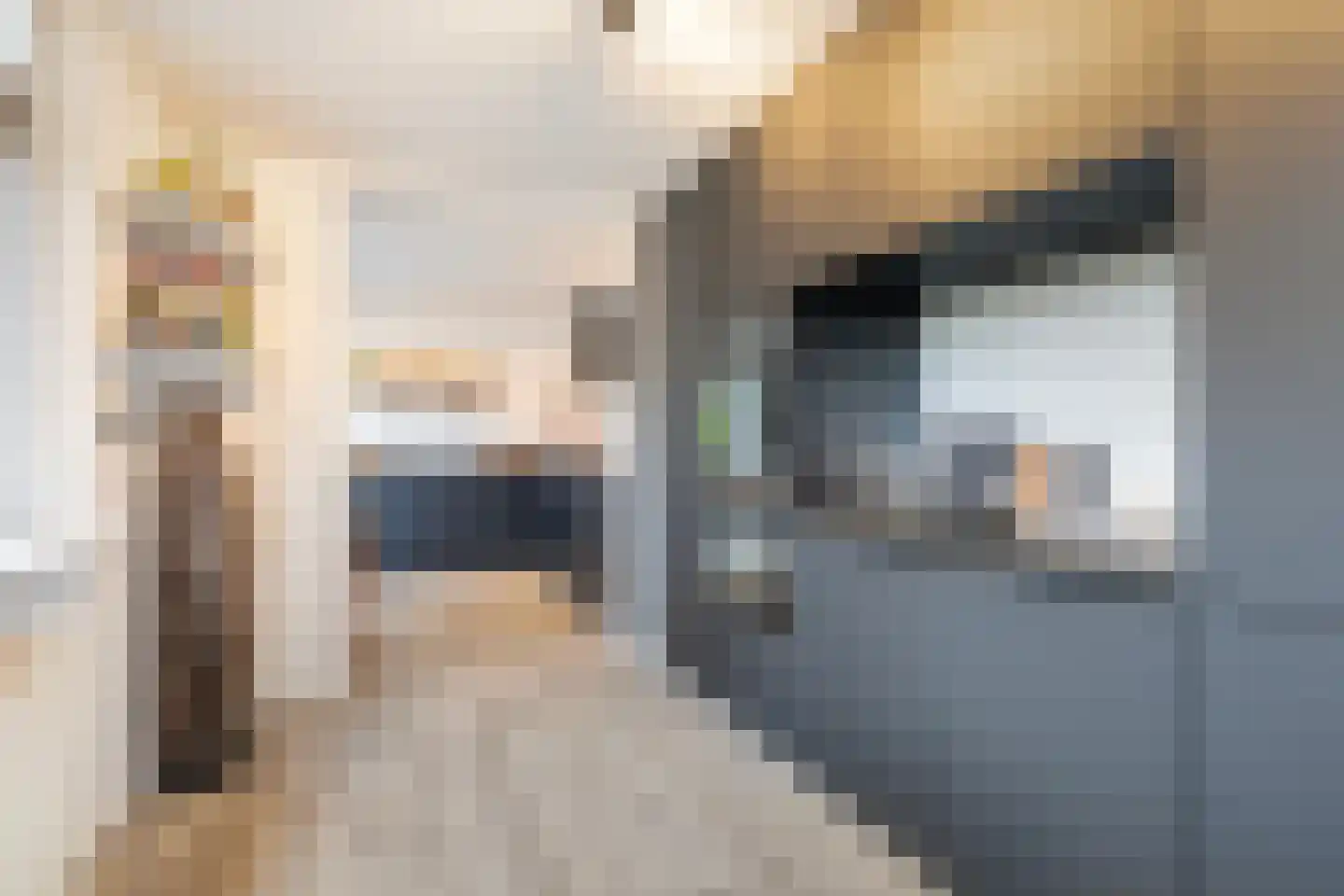 Grovestins 3 Stiens thumbnail 18