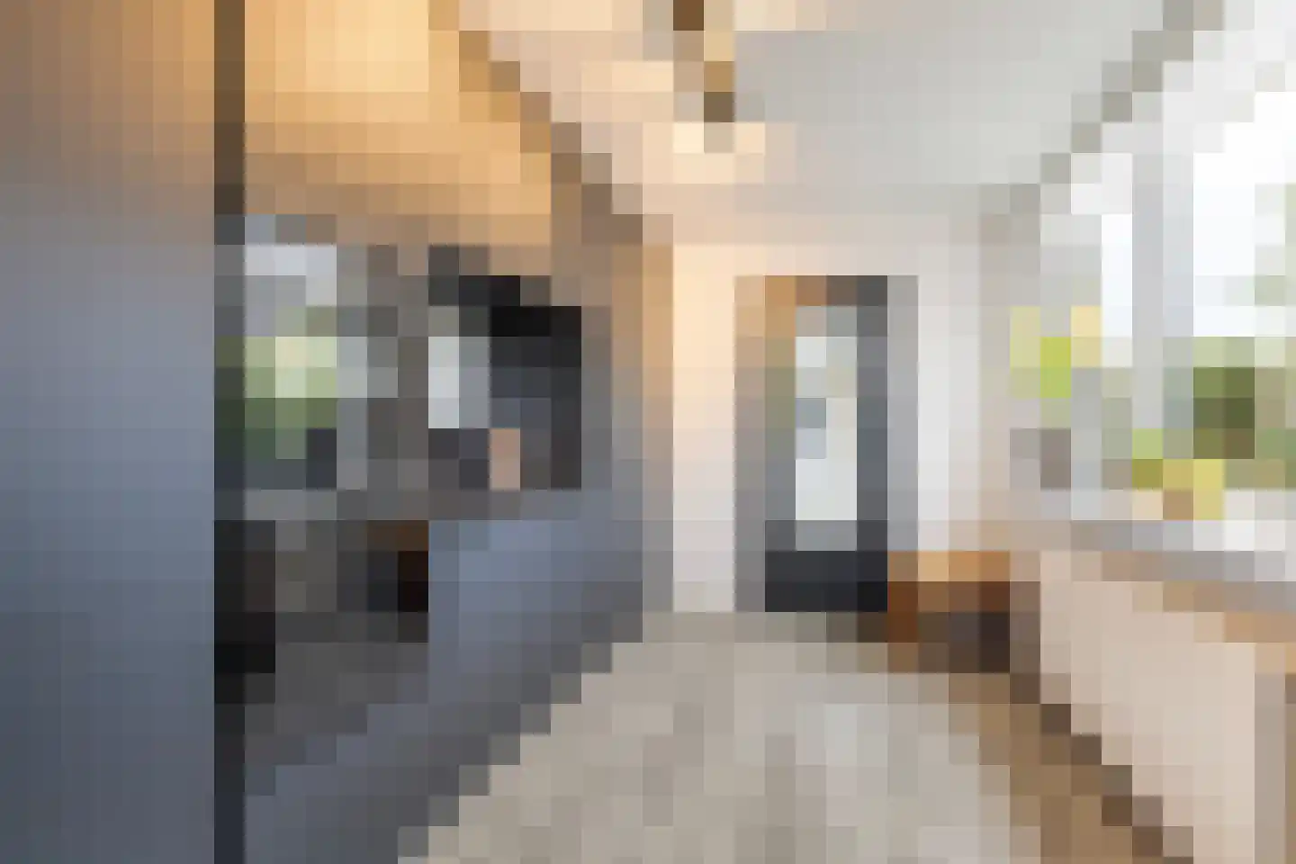 Grovestins 3 Stiens thumbnail 19