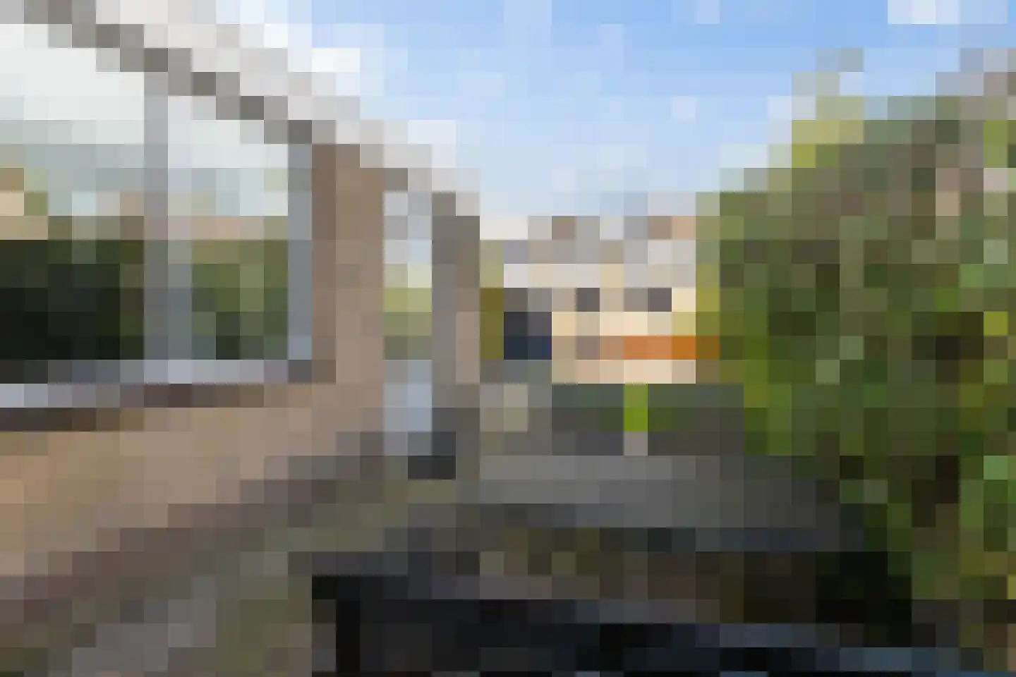 Grovestins 3 Stiens thumbnail 23
