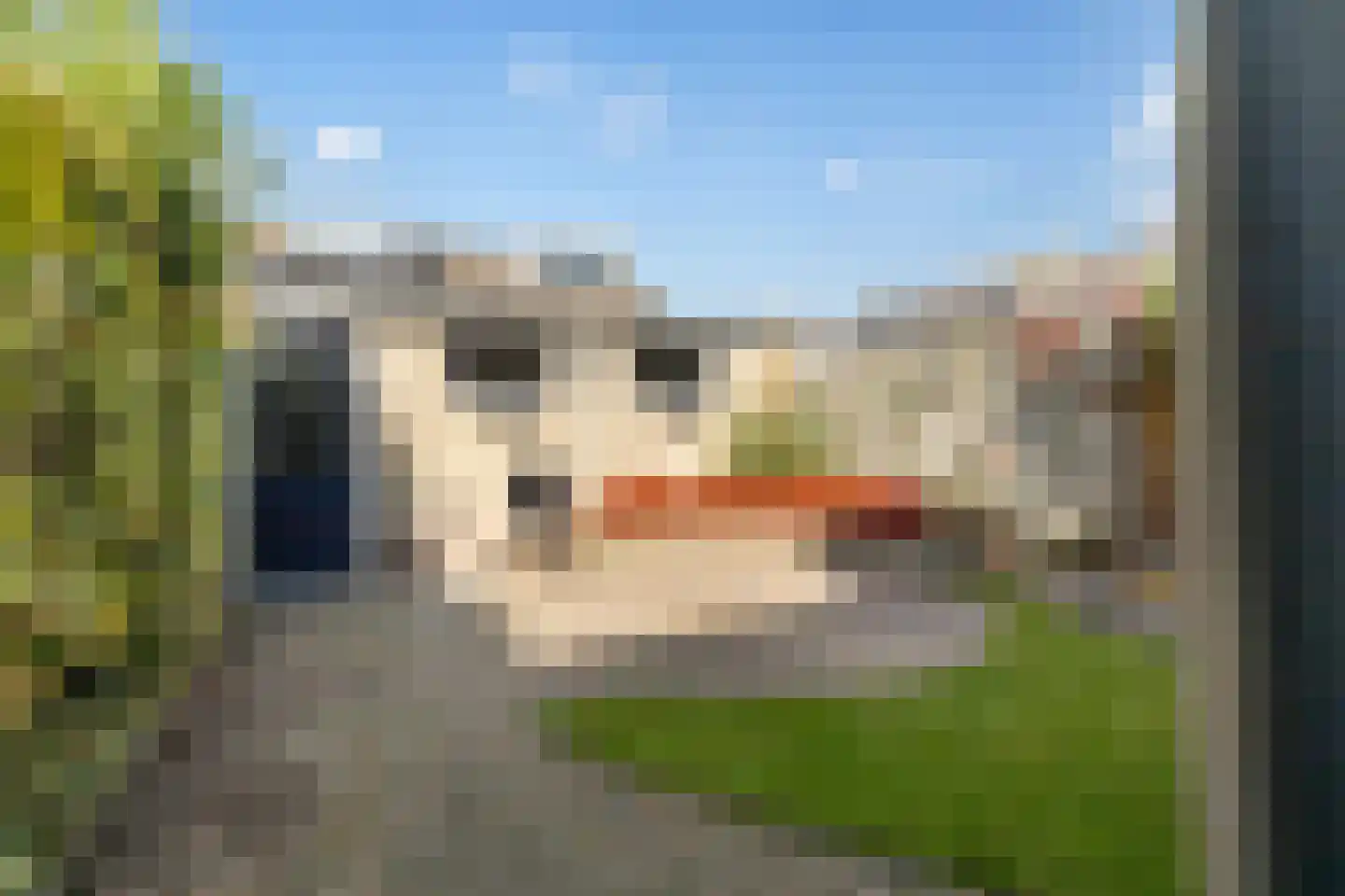 Grovestins 3 Stiens thumbnail 24