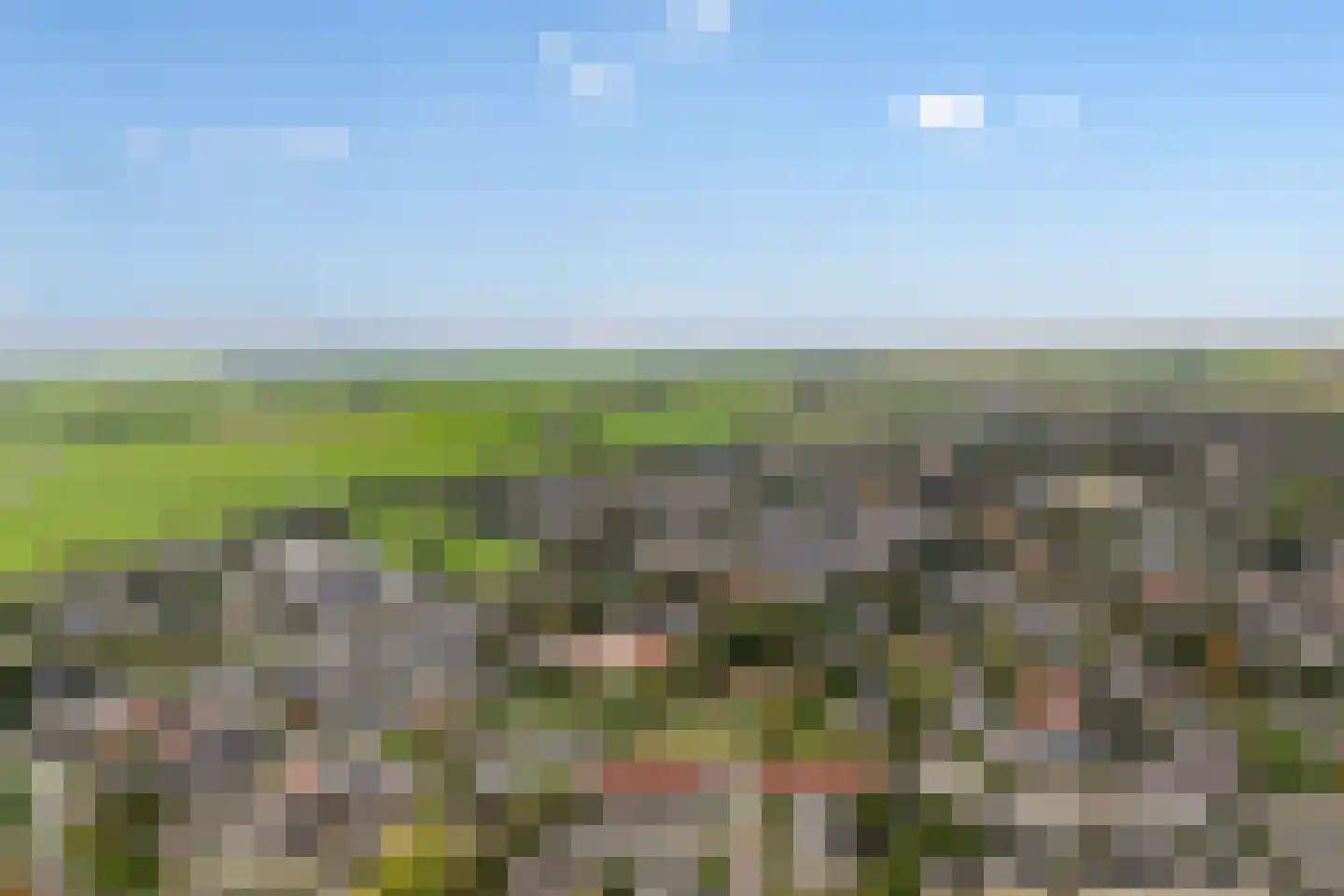 Grovestins 3 Stiens thumbnail 40