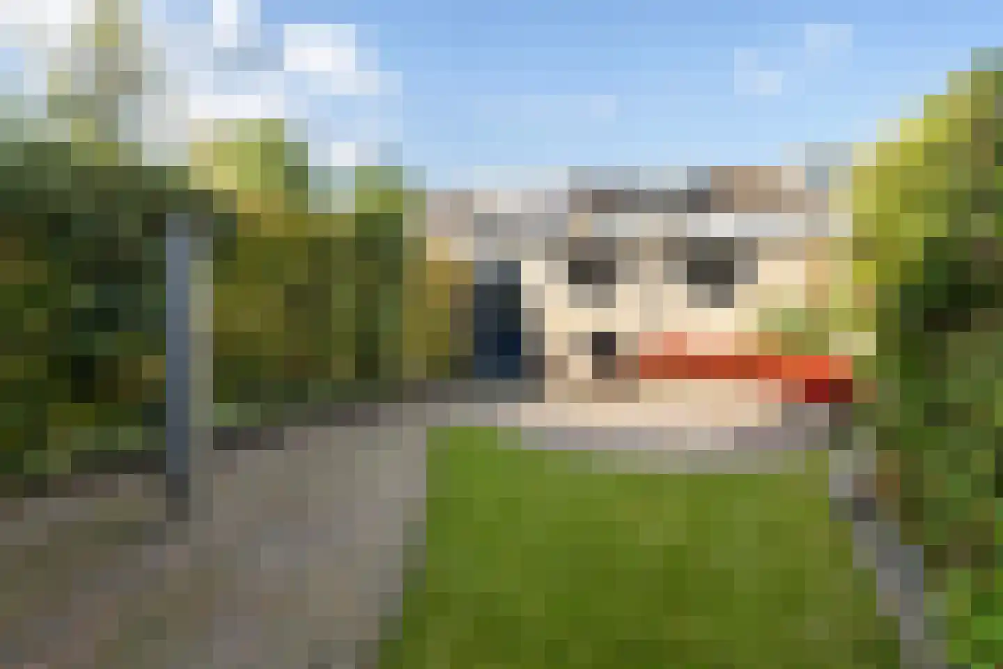 Grovestins 3 Stiens thumbnail 6