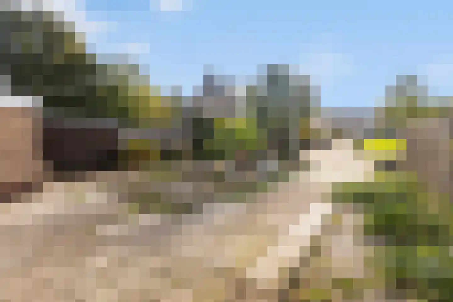 Grovestins 31 Stiens thumbnail 6