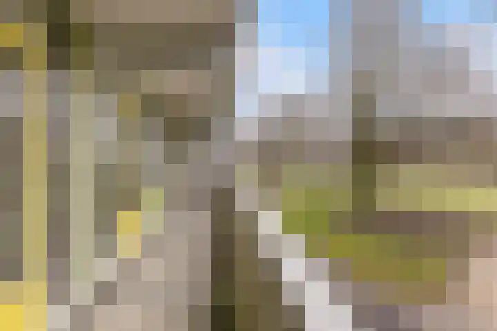 Grubbehoeve 114 Amsterdam thumbnail 11