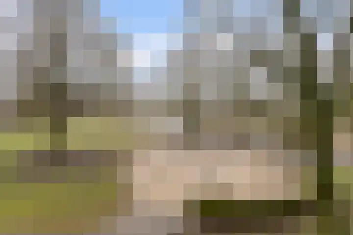 Grubbehoeve 114 Amsterdam thumbnail 12