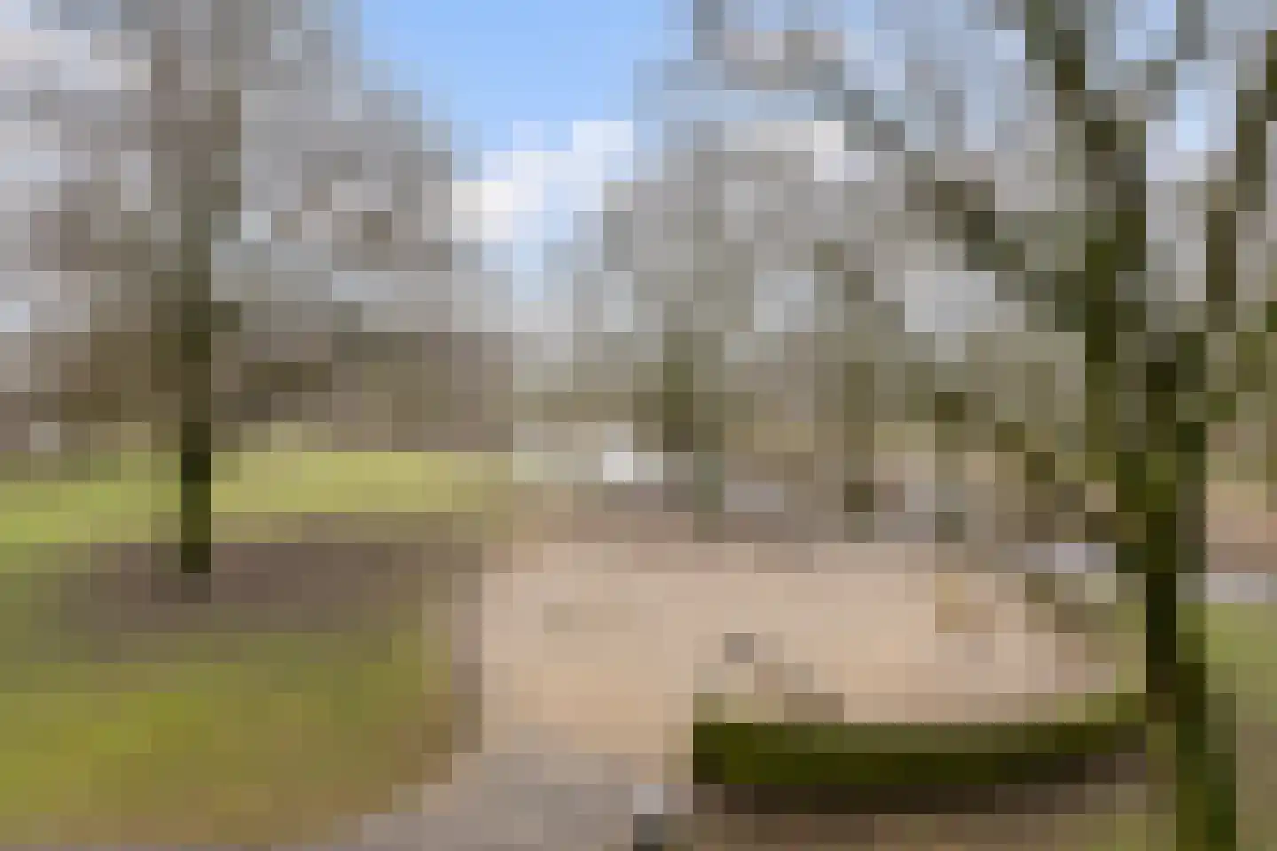 Grubbehoeve 114 Amsterdam thumbnail 12