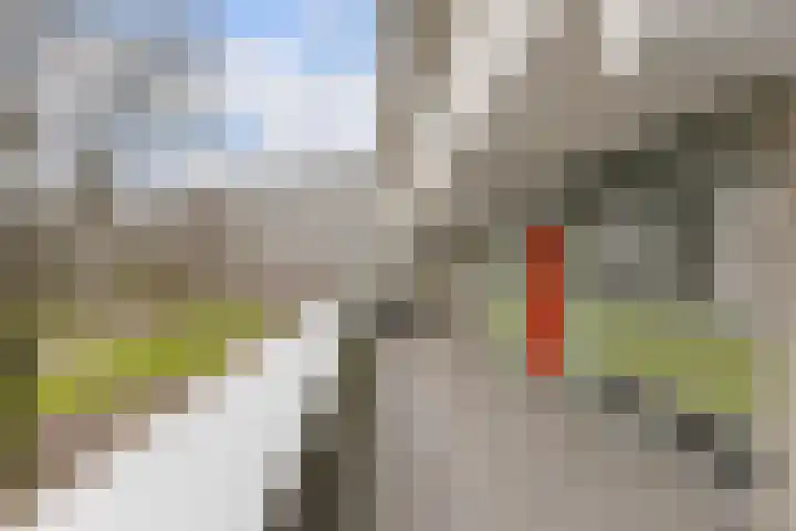 Grubbehoeve 114 Amsterdam thumbnail 13