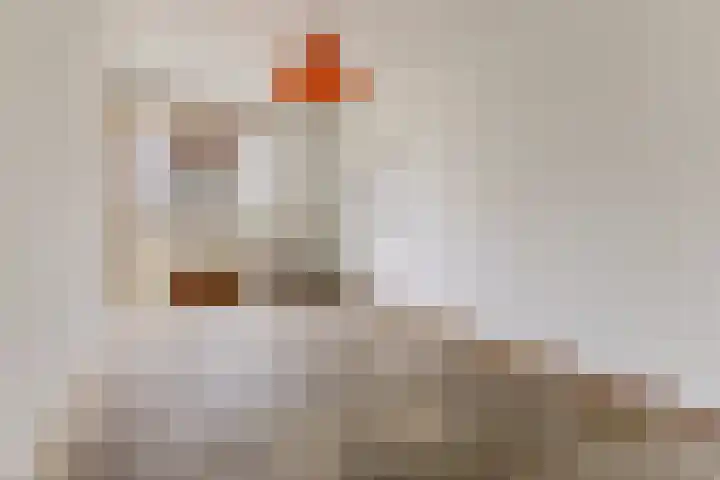 Grubbehoeve 114 Amsterdam thumbnail 8