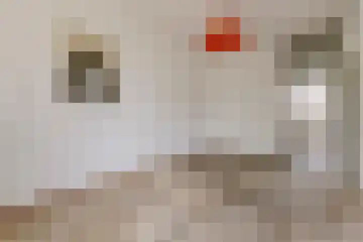 Grubbehoeve 114 Amsterdam thumbnail 9