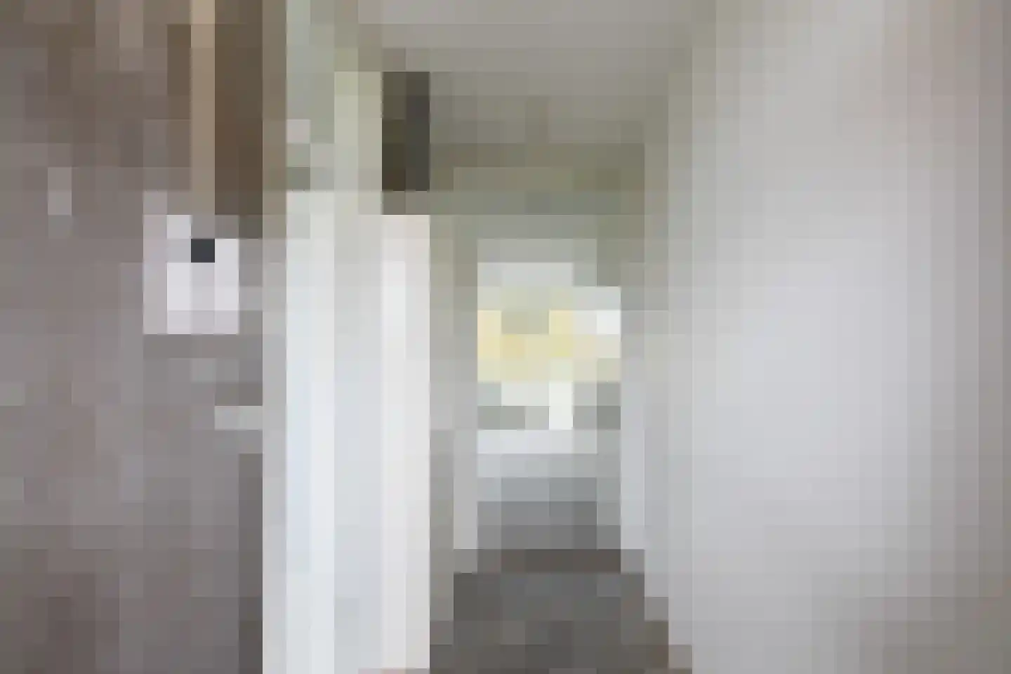 Grubbehoeve 314 Amsterdam thumbnail 15