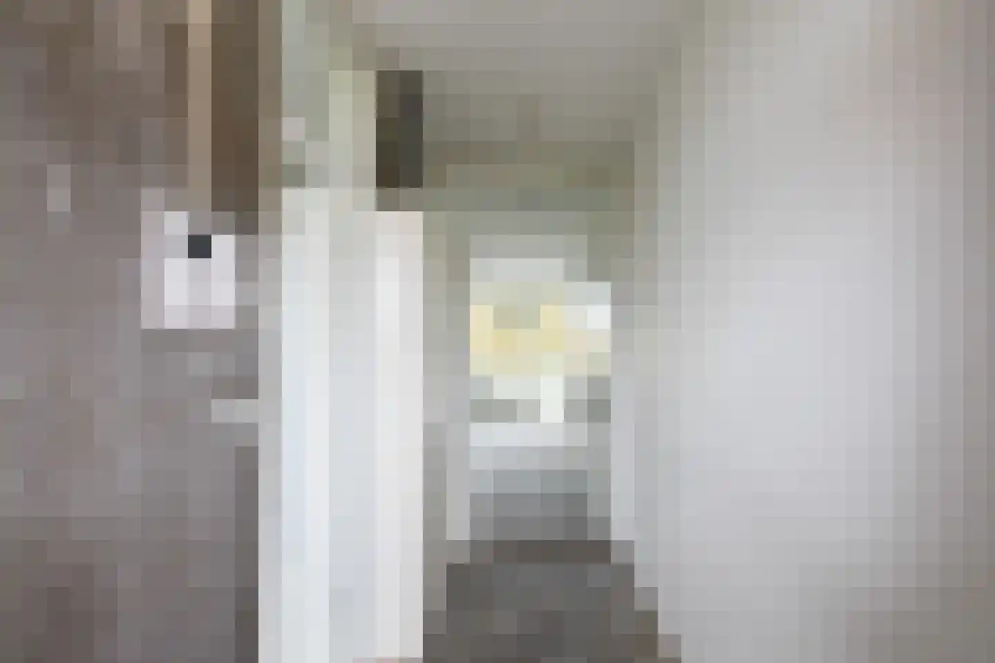 Grubbehoeve 314 Amsterdam thumbnail 16