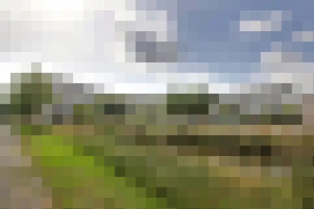 Grubbehoeve 314 Amsterdam thumbnail 17