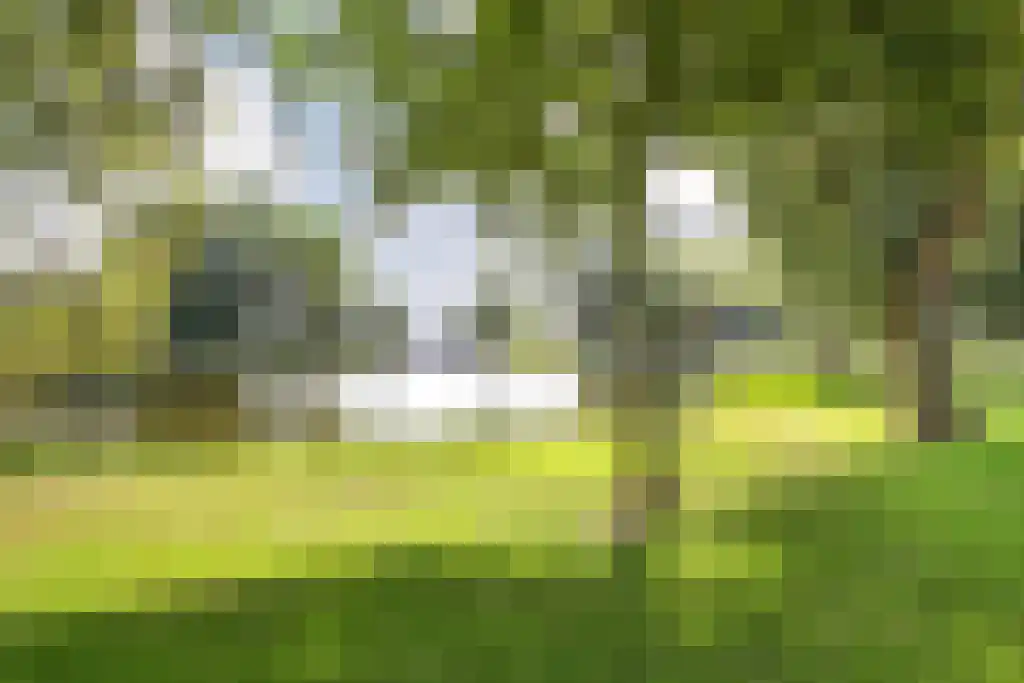 Grubbehoeve 314 Amsterdam thumbnail 19
