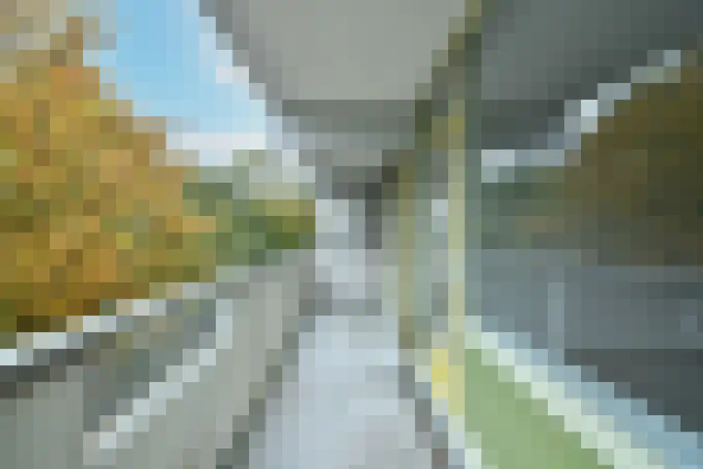 Grubbehoeve 314 Amsterdam thumbnail 6