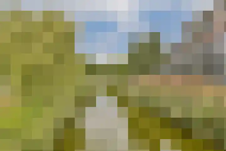 Grubbehoeve 329 Amsterdam thumbnail 30
